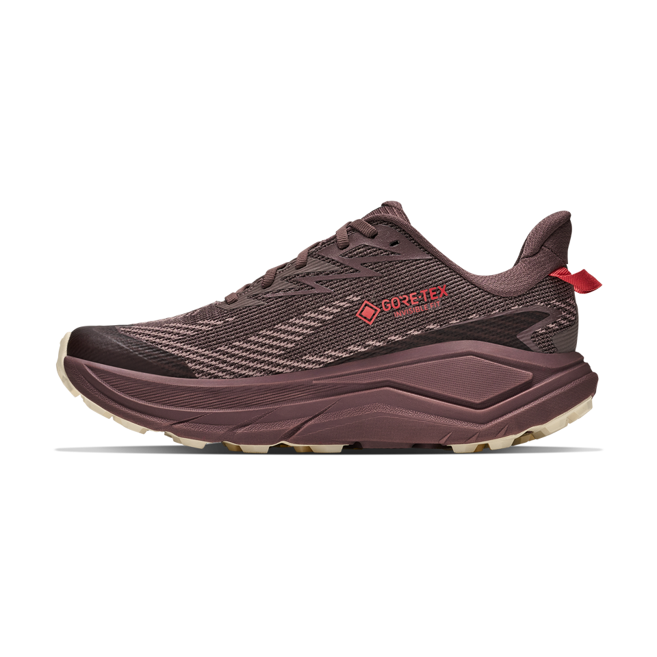 HOKA Women's Challenger 8 GTX Smoky Quartz/Alabaster