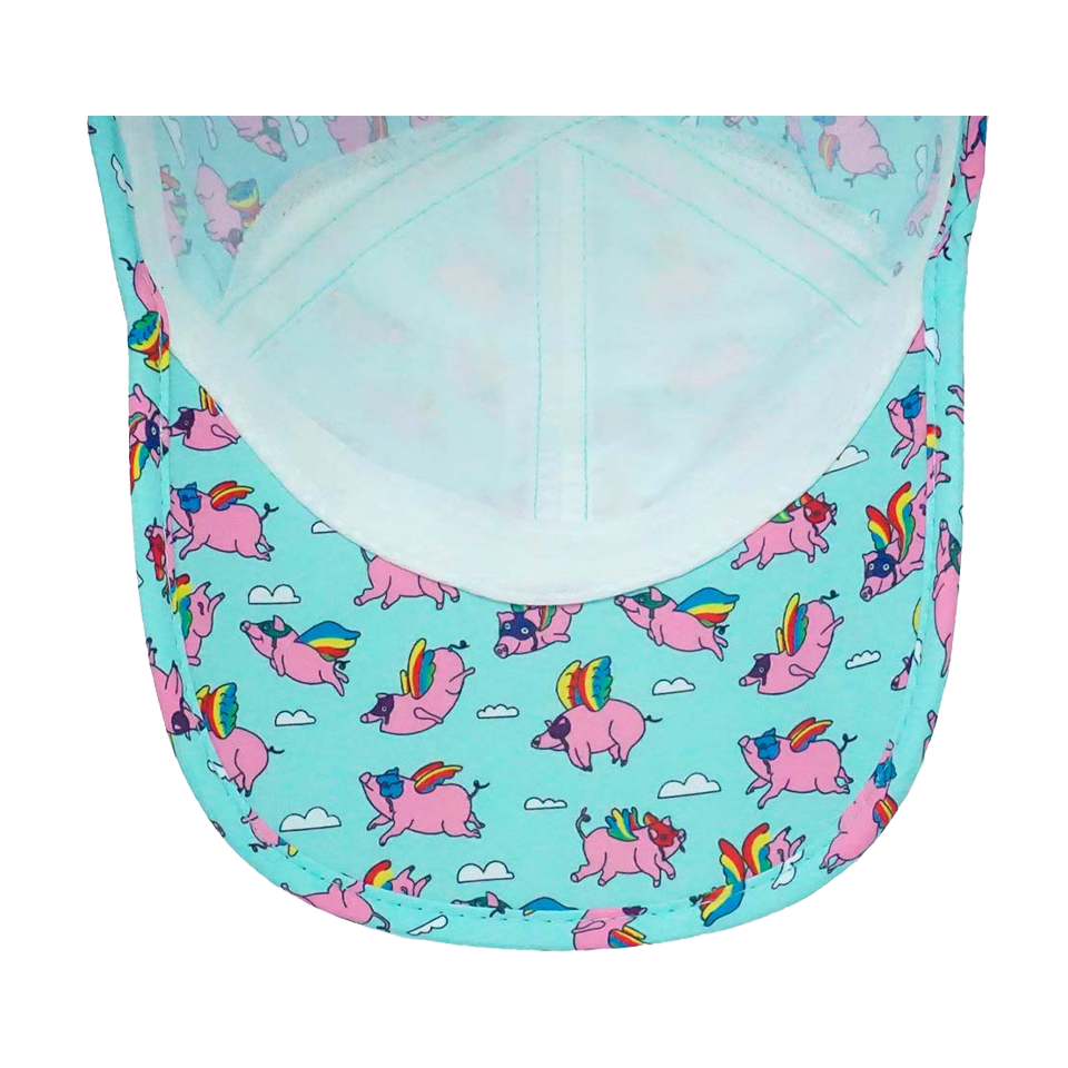 Sprints OG Hat Flying Pigs