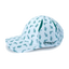 Sprints OG Hat Turtles