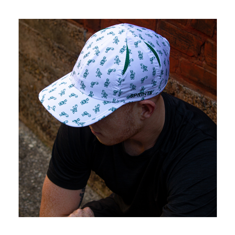 Sprints OG Hat Turtles