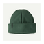 Patagonia Micro D Fleece Beanie Canopy Green