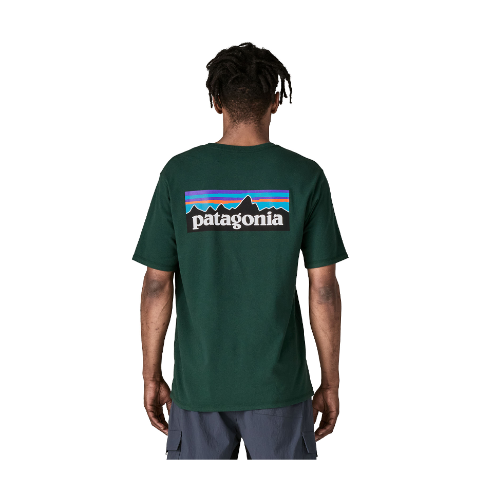 Patagonia Men's P-6 Logo Responsibili-Tee Cascade Green