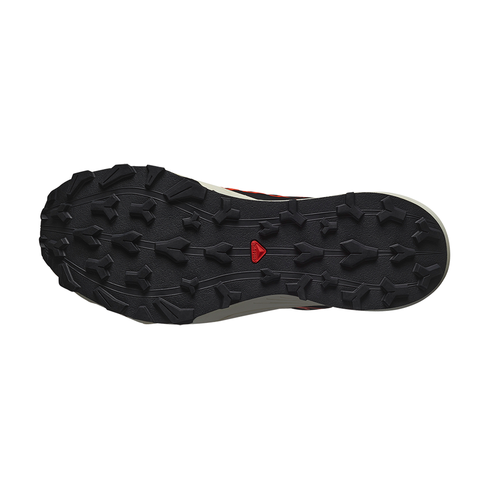 Salomon Men's Thundercross GTX Turbulence/Black/Cherry Tomato