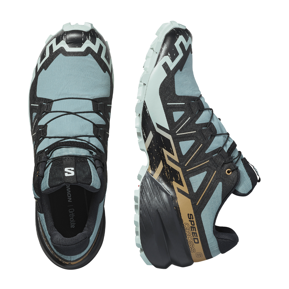 Salomon Men's Speedcross 6 GTX Trooper/Black/Wood Thrush