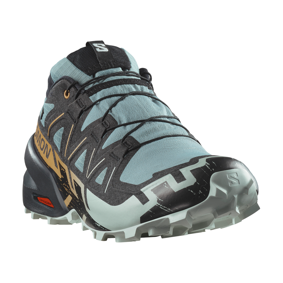 Salomon Men's Speedcross 6 GTX Trooper/Black/Wood Thrush