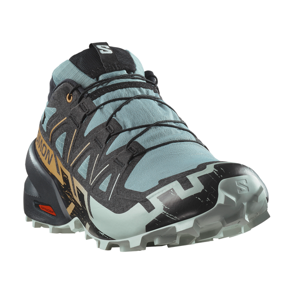 Salomon Men's Speedcross 6 GTX Trooper/Black/Wood Thrush - Play