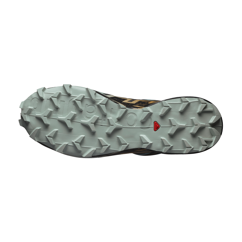 Salomon Men's Speedcross 6 GTX Trooper/Black/Wood Thrush