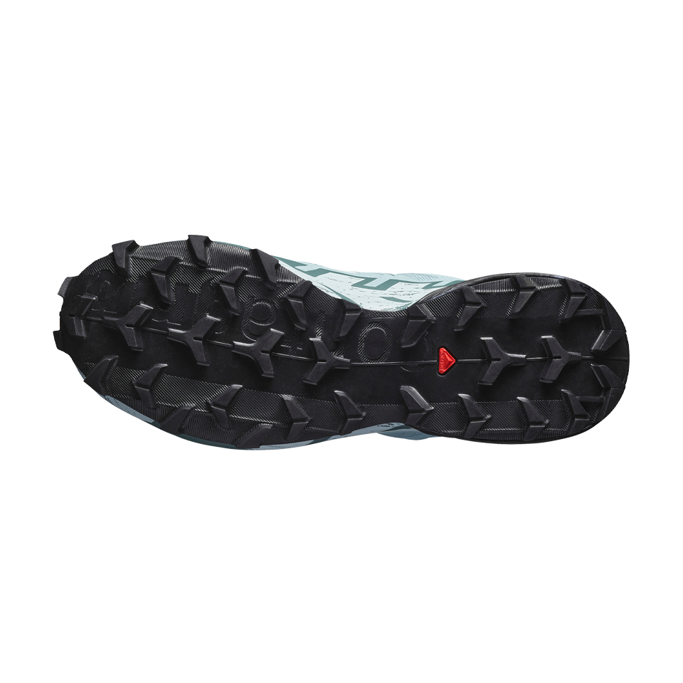 Salomon Women's Speedcross 6 GTX Ballad Blue/Black/Tourmaline