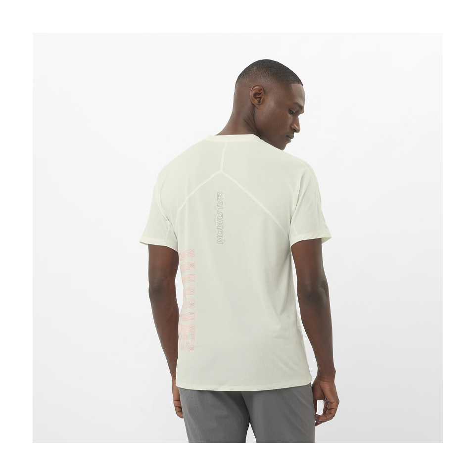 Salomon Men's Sense Aero Graphic Short Sleeve T-Shirt Icicle