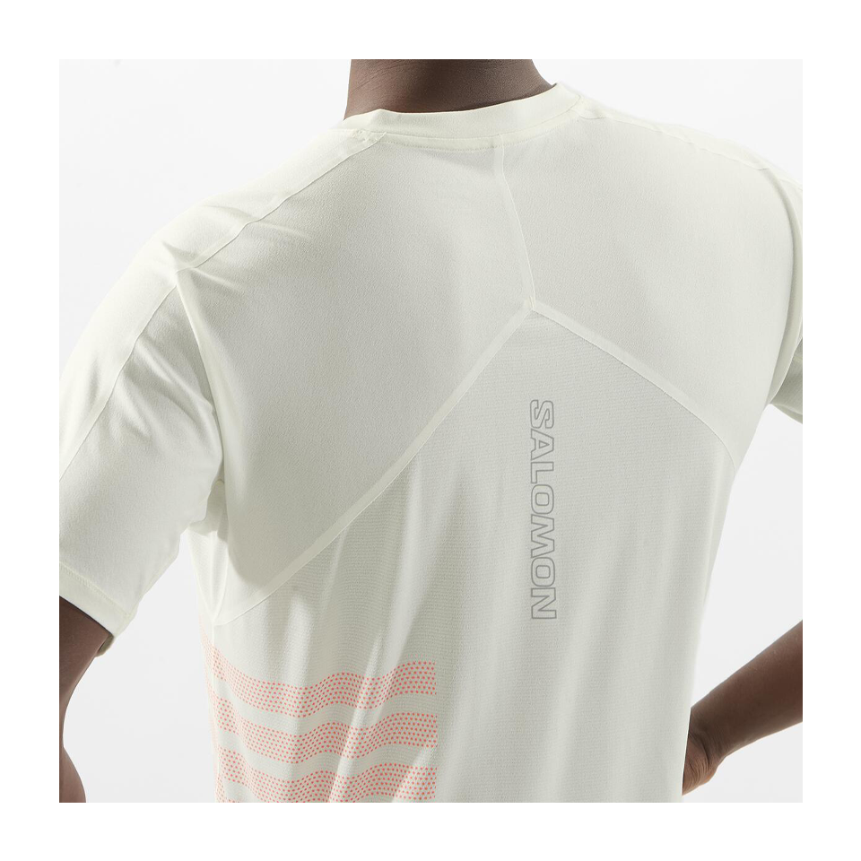 Salomon Men's Sense Aero Graphic Short Sleeve T-Shirt Icicle