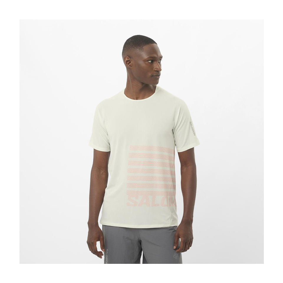 Salomon Men's Sense Aero Graphic Short Sleeve T-Shirt Icicle