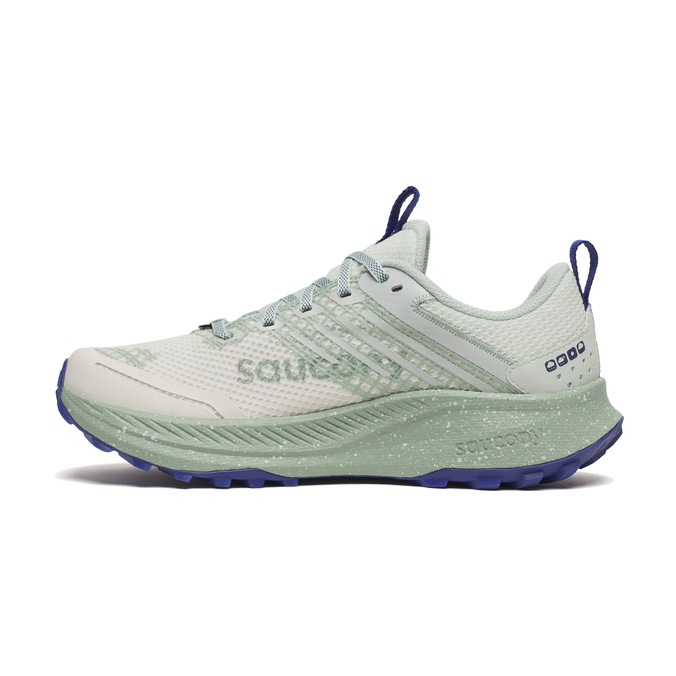 Saucony Women's Ride TR2 GTX Quartz/Mist