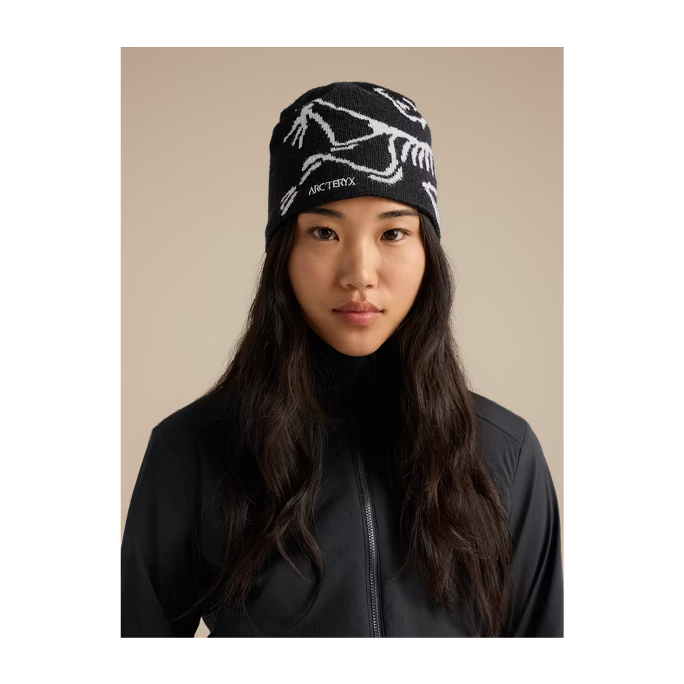 Arc'teryx Bird Head Toque Orca