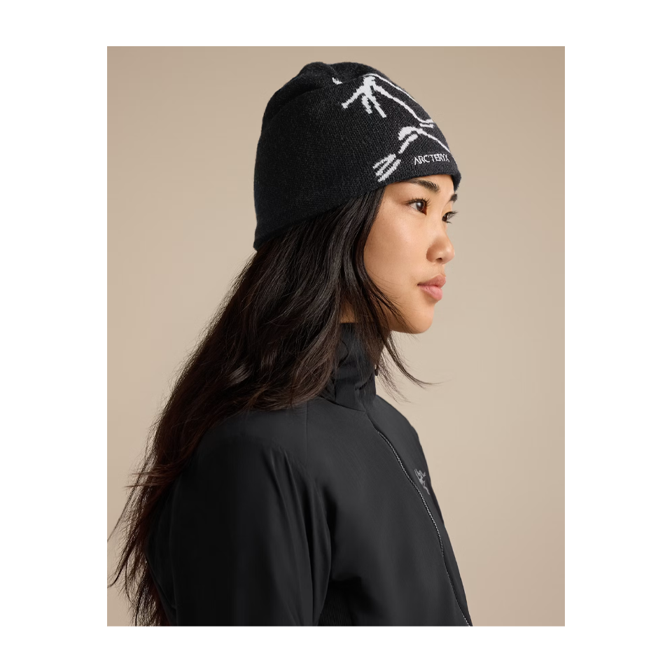 Arc'teryx Bird Head Toque Orca