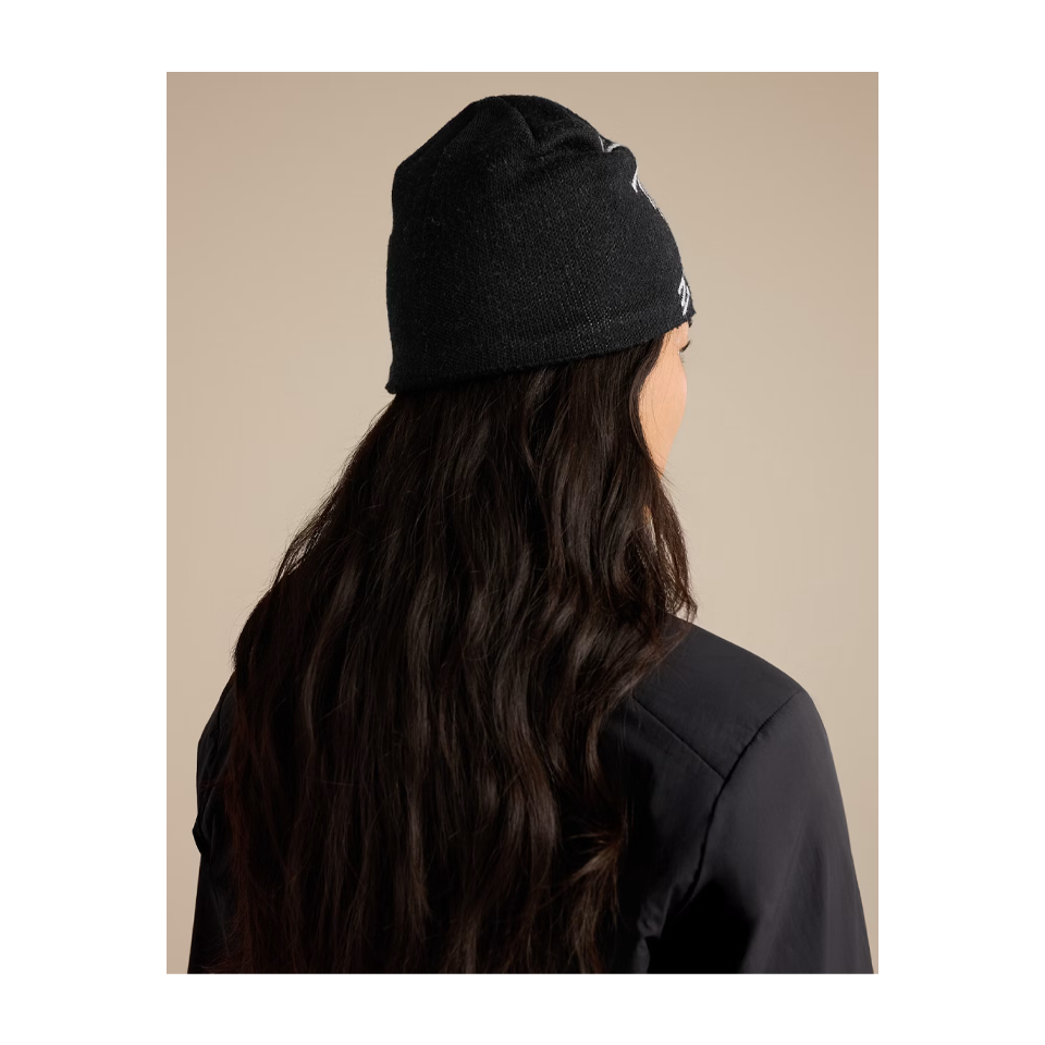 Arc'teryx Bird Head Toque Orca