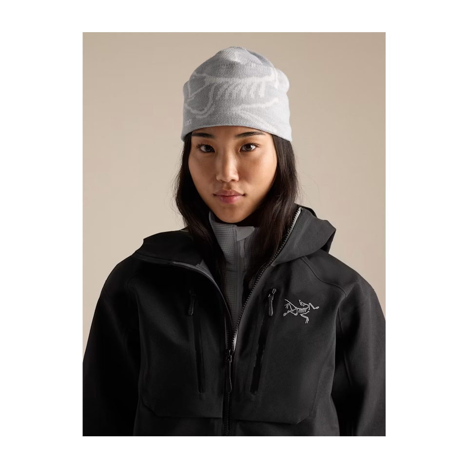 Arc'teryx Bird Head Toque Solitude/Arctic Silk