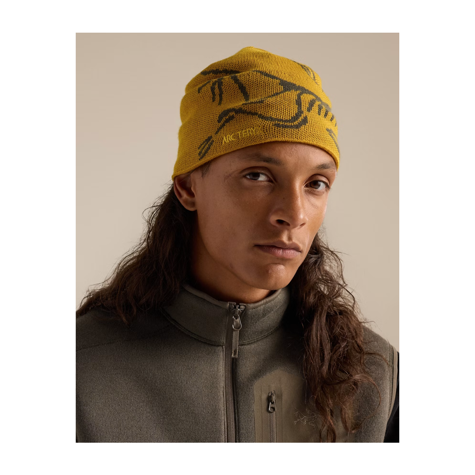 Arc'teryx Bird Head Toque Nucleus/Mongoose