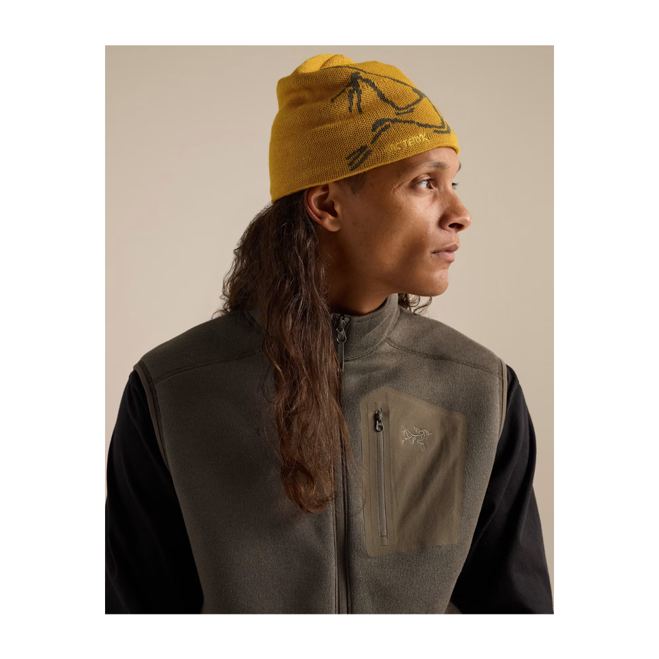 Arc'teryx Bird Head Toque Nucleus/Mongoose