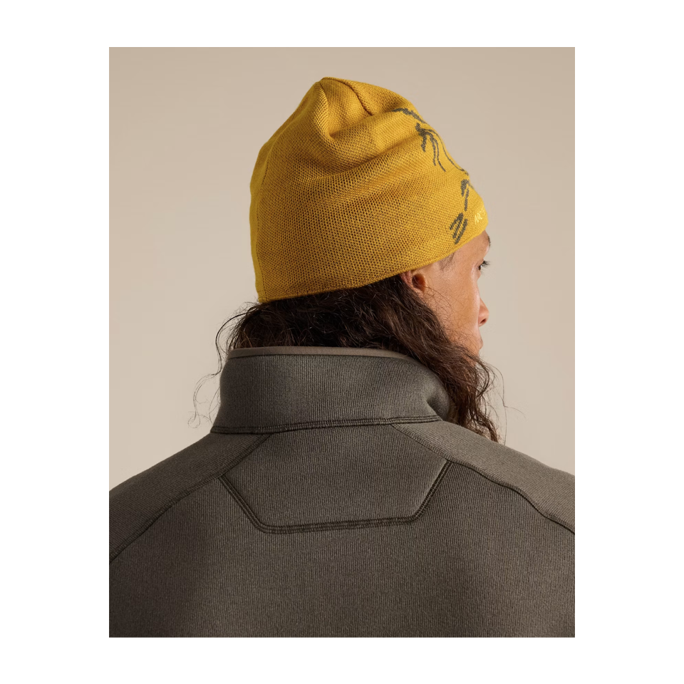 Arc'teryx Bird Head Toque Nucleus/Mongoose
