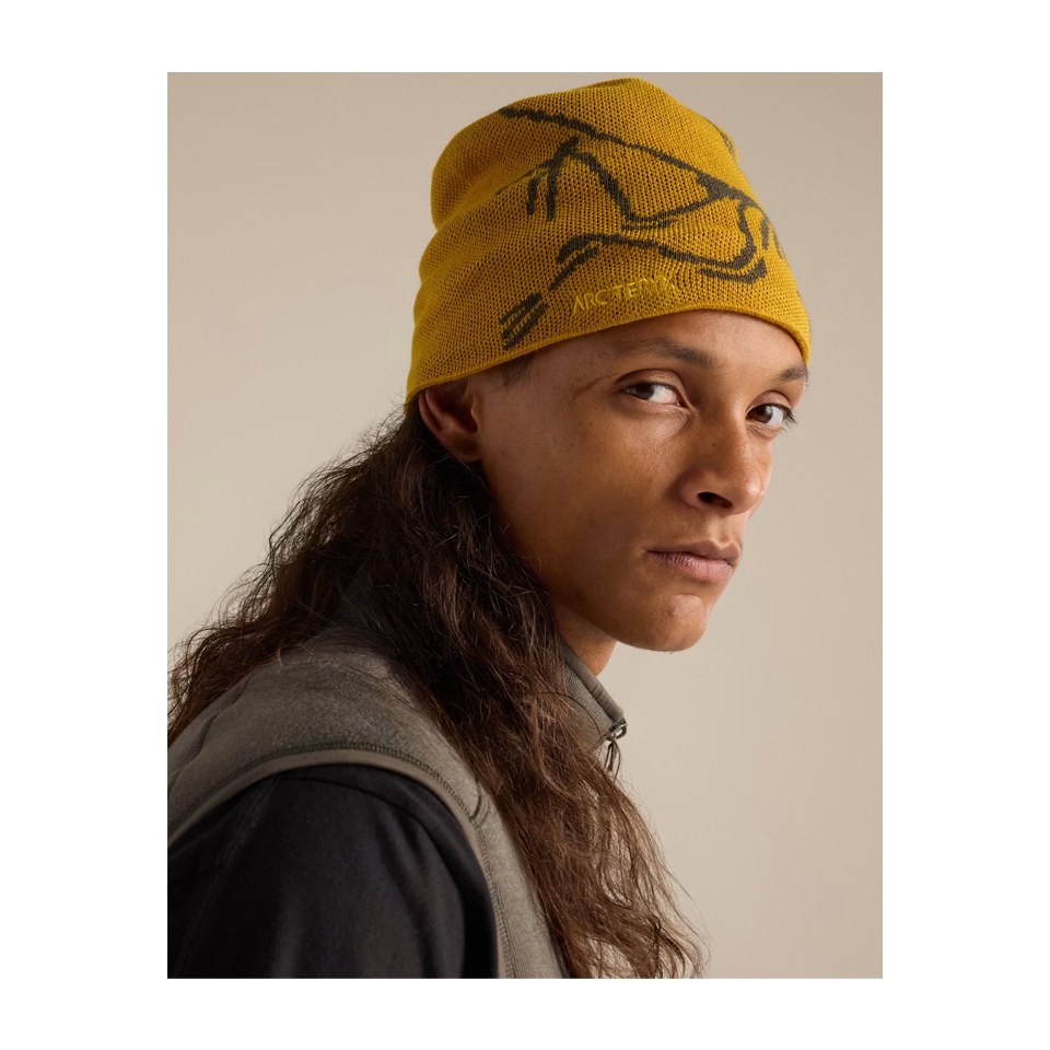 Arc'teryx Bird Head Toque Nucleus/Mongoose