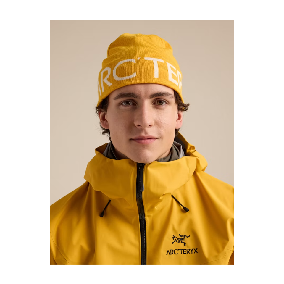 Arc'teryx Word Head Toque Larch/Arctic Silk