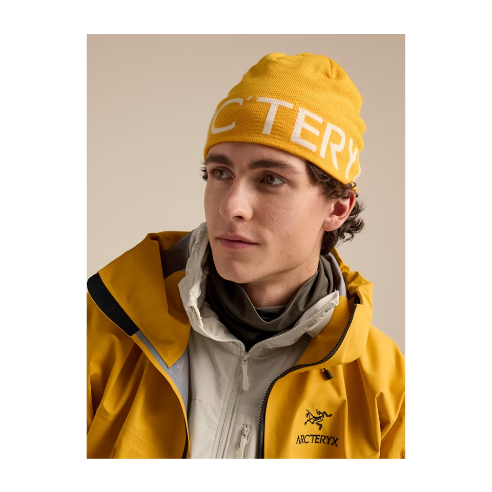Arc'teryx Word Head Toque Larch/Arctic Silk