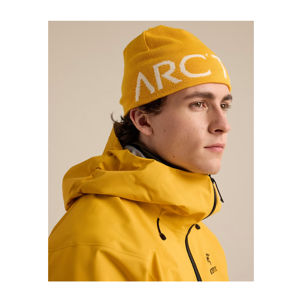 Arc'teryx Word Head Toque Larch/Arctic Silk