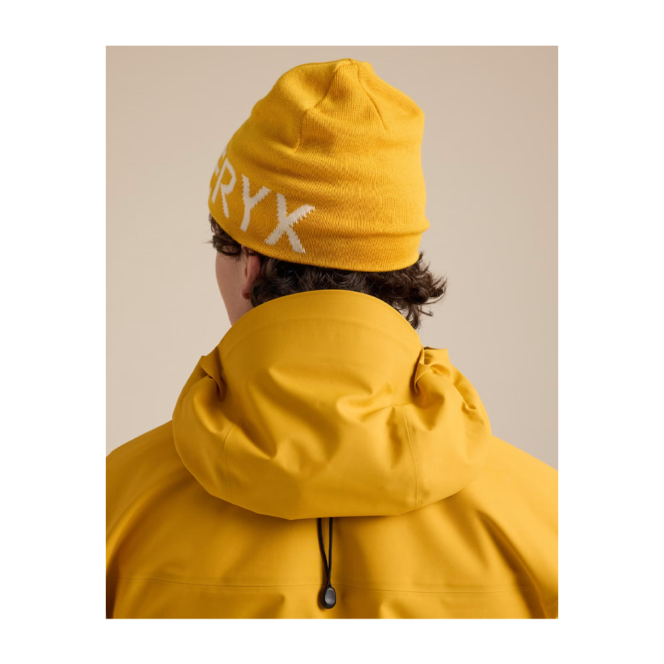 Arc'teryx Word Head Toque Larch/Arctic Silk