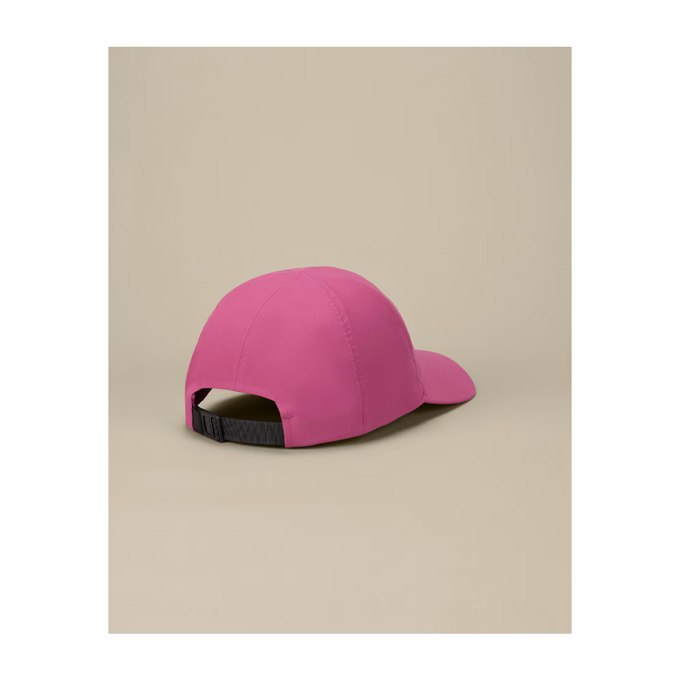 Arc'teryx Bird Word Cap Lt Renegade