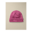 Arc'teryx Bird Word Toque Lt Renegade/Renegade