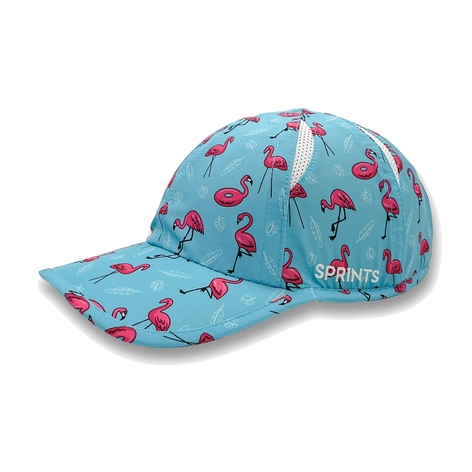 Sprints OG Hat Find the Fauxmingo Main image