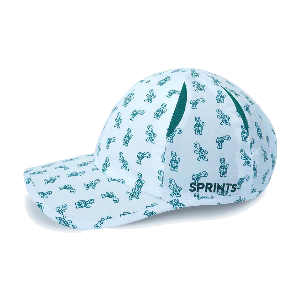 Sprints OG Hat Turtles Main image