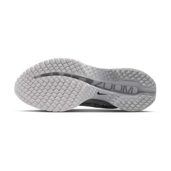Nike Women's Pegasus Premium Summit White/Grey Fog/Black/Metallic Silver