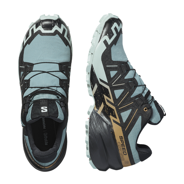 Salomon Men's Speedcross 6 GTX Trooper/Black/Wood Thrush