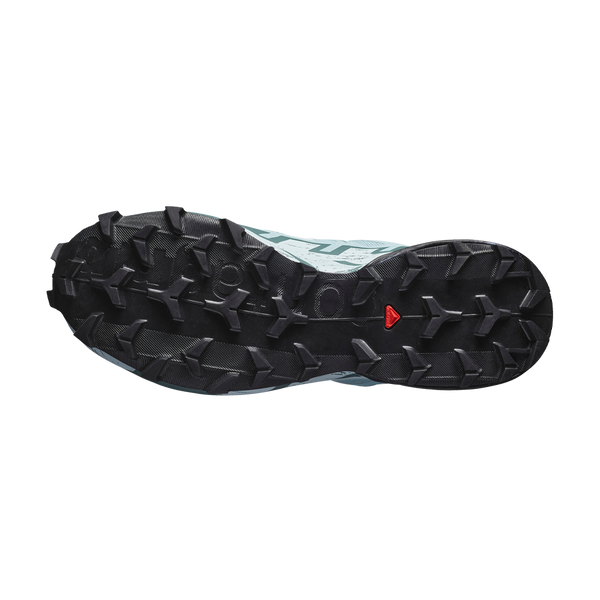 Salomon Women's Speedcross 6 GTX Ballad Blue/Black/Tourmaline