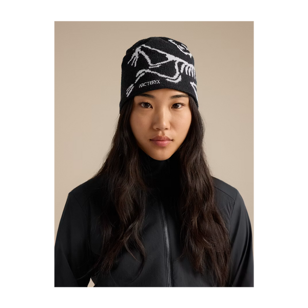 Arc'teryx Bird Head Toque Orca