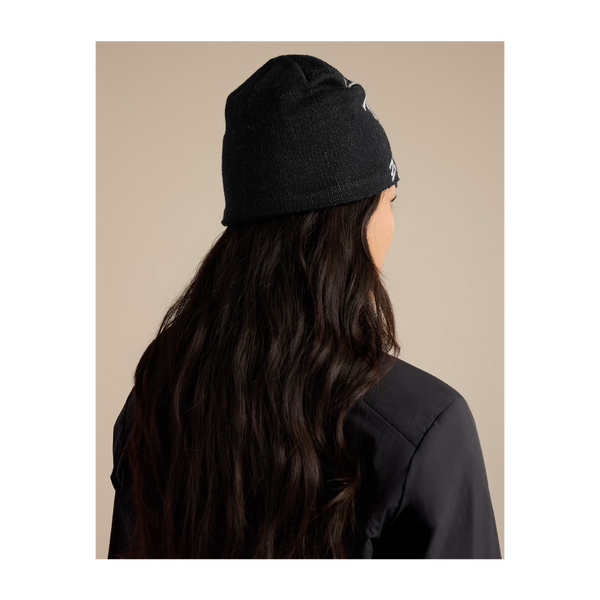 Arc'teryx Bird Head Toque Orca