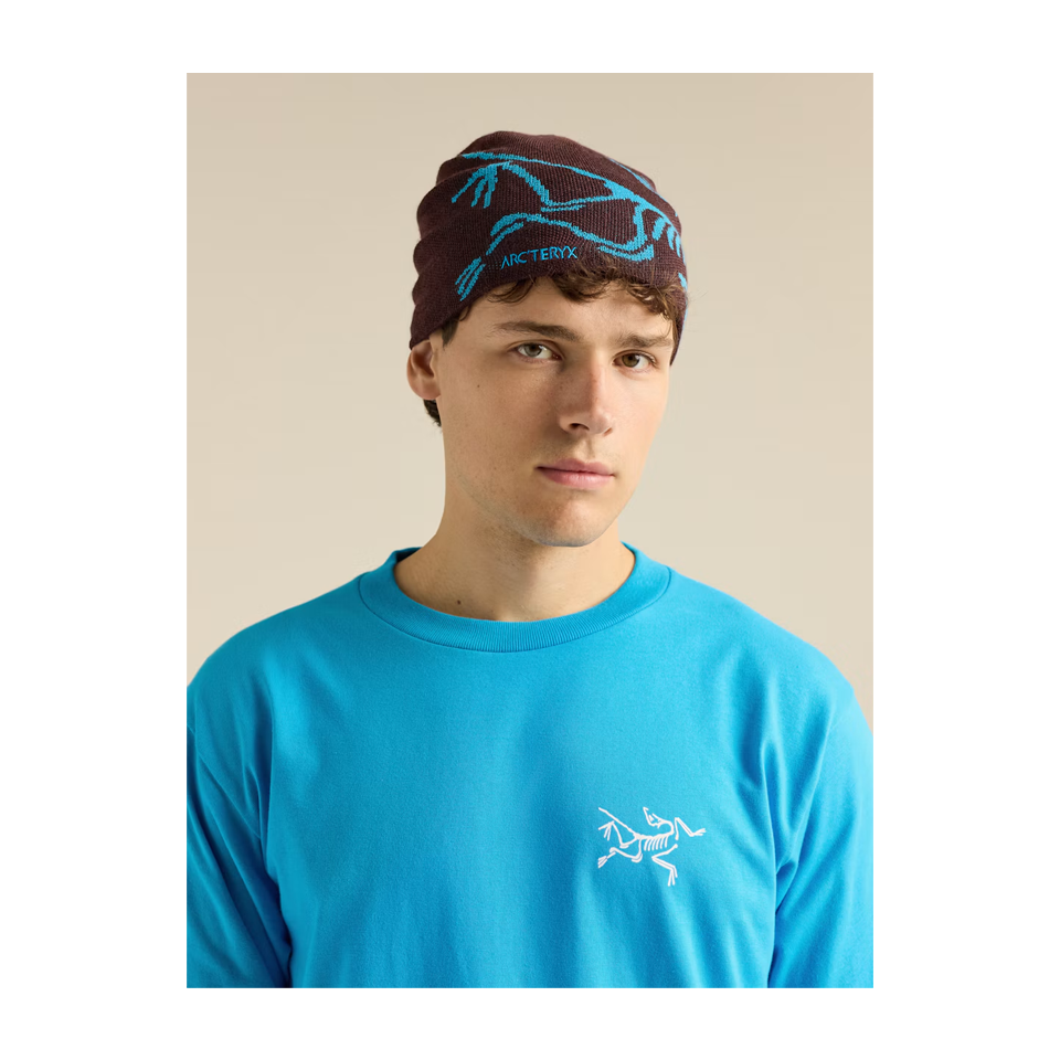 Arc'teryx Bird Head Toque Ultima/Aquaculture