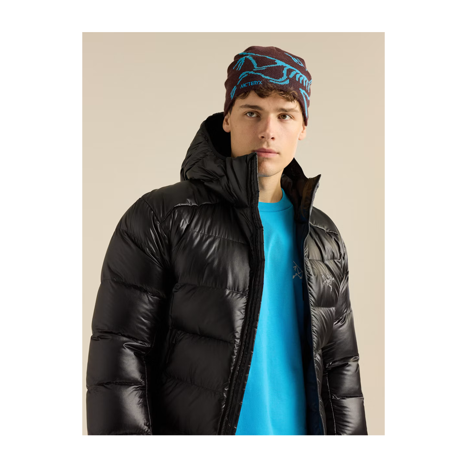 Arc'teryx Bird Head Toque Ultima/Aquaculture