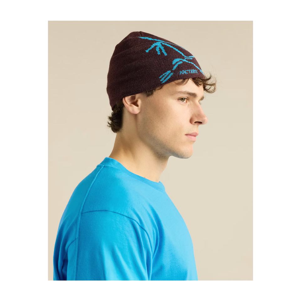 Arc'teryx Bird Head Toque Ultima/Aquaculture