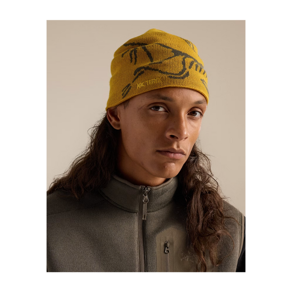 Arc'teryx Bird Head Toque Nucleus/Mongoose