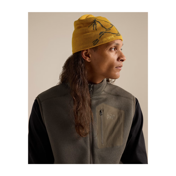 Arc'teryx Bird Head Toque Nucleus/Mongoose