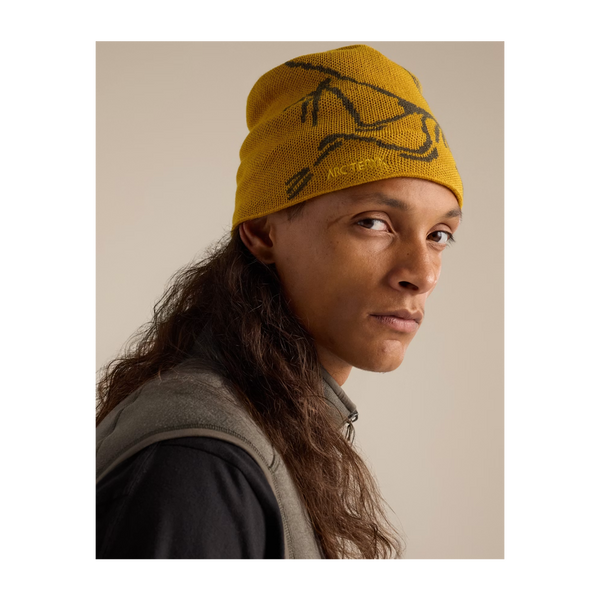 Arc'teryx Bird Head Toque Nucleus/Mongoose