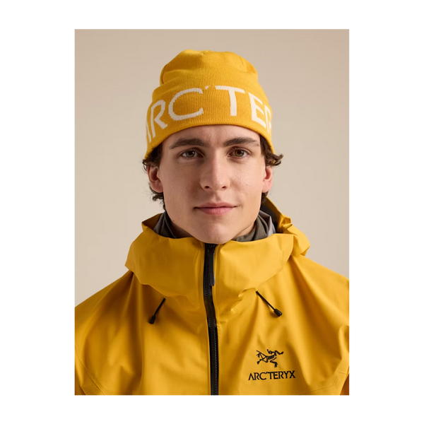 Arc'teryx Word Head Toque Larch/Arctic Silk