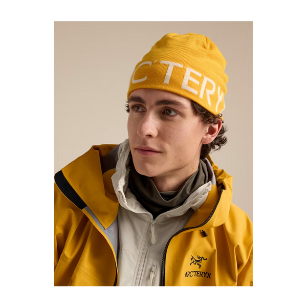 Arc'teryx Word Head Toque Larch/Arctic Silk