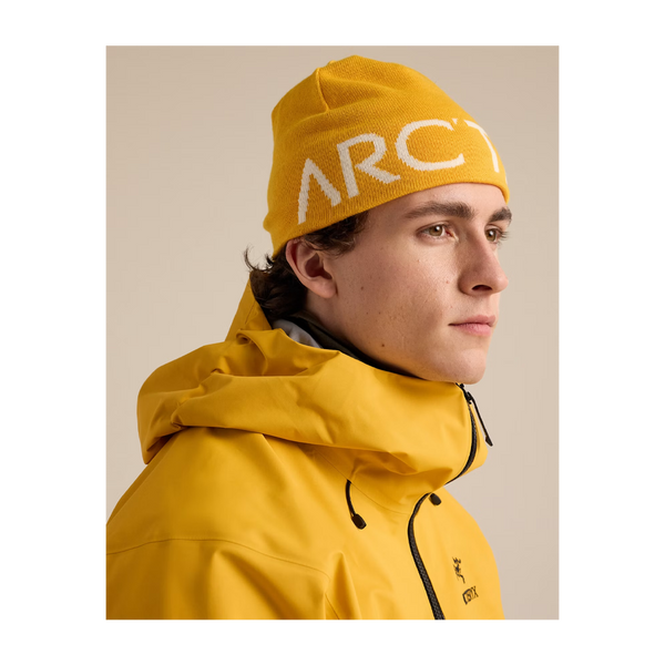 Arc'teryx Word Head Toque Larch/Arctic Silk