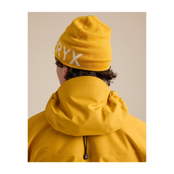 Arc'teryx Word Head Toque Larch/Arctic Silk