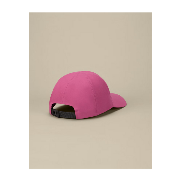Arc'teryx Bird Word Cap Lt Renegade