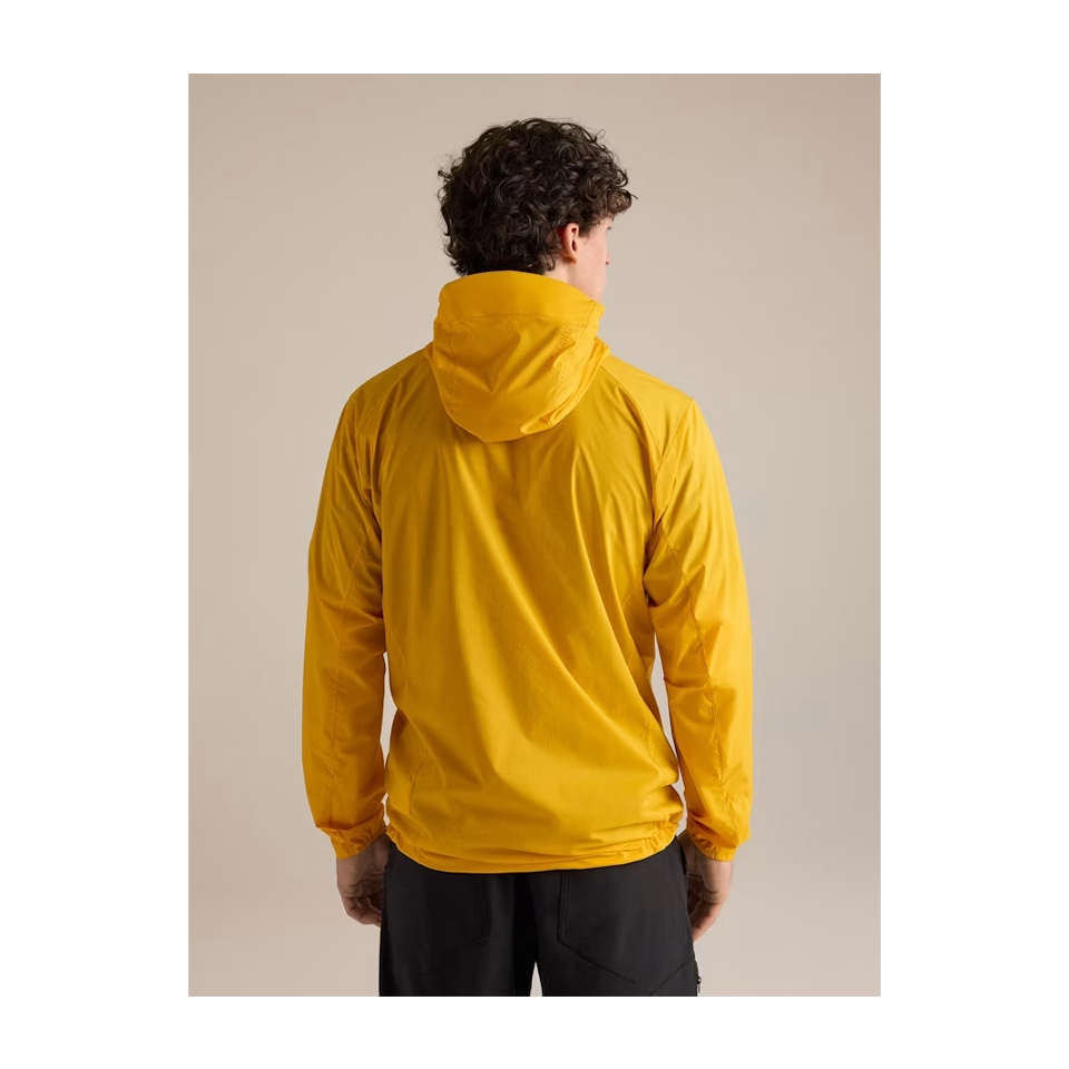 Arc'teryx Men's Squamish Hoody Larch