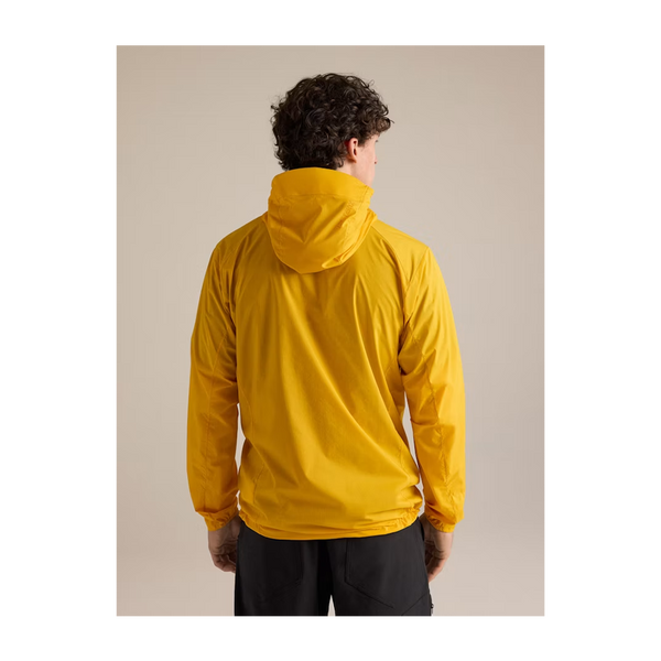 Arc'teryx Men's Squamish Hoody Larch